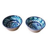 Set of 2 small vintage bowls, hand-painted crafts, plant motif
