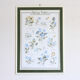 1960s vintage violets flowers chart poster