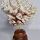 Antique natural white coral on turned wooden base, H25 cm