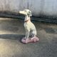 Large Sitting Greyhound Statue in Concrete / Cement - Garden Decoration or
