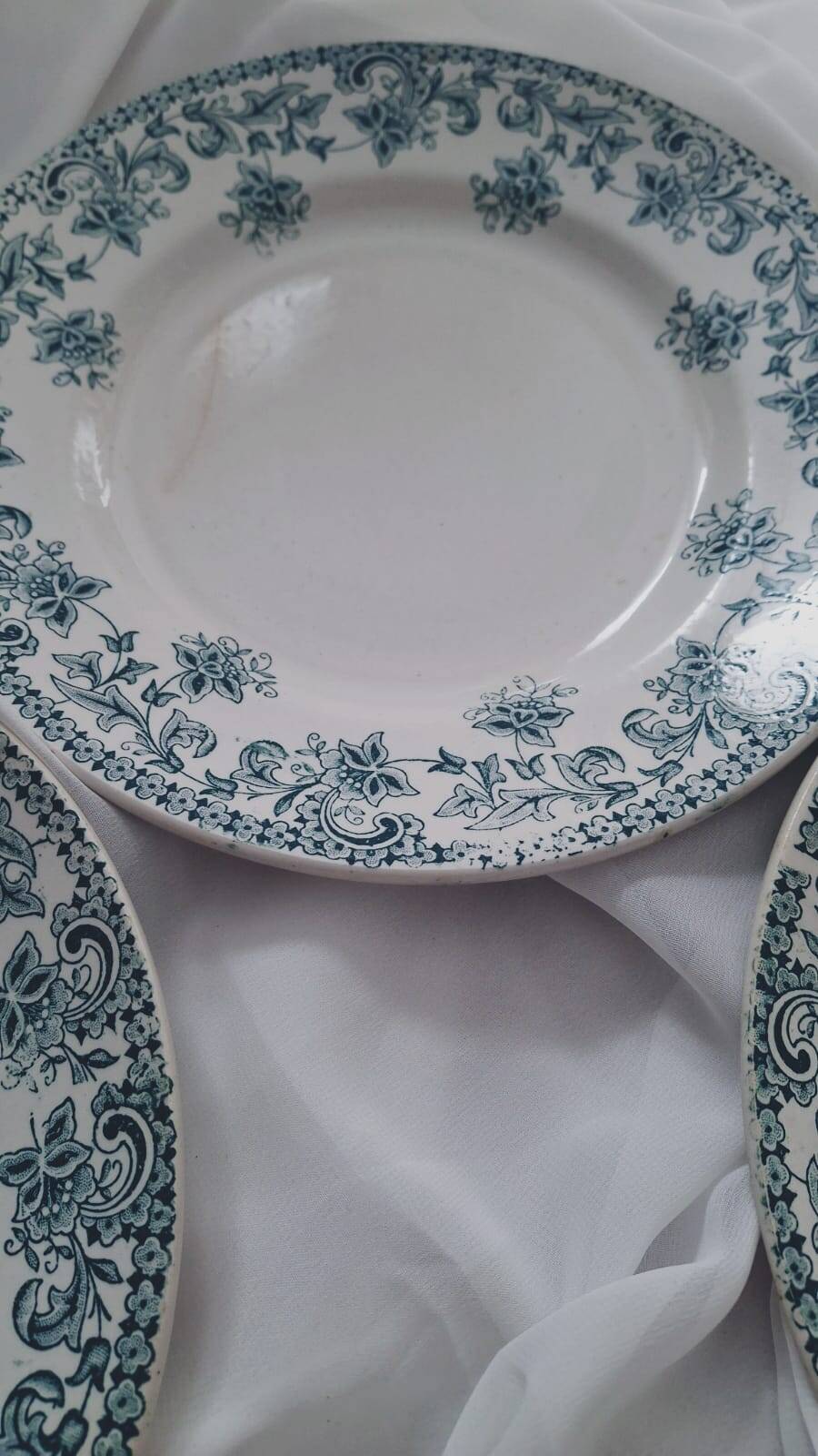 Set of 4 antique ironstone plates from Saint-Amand, "Jane" model.