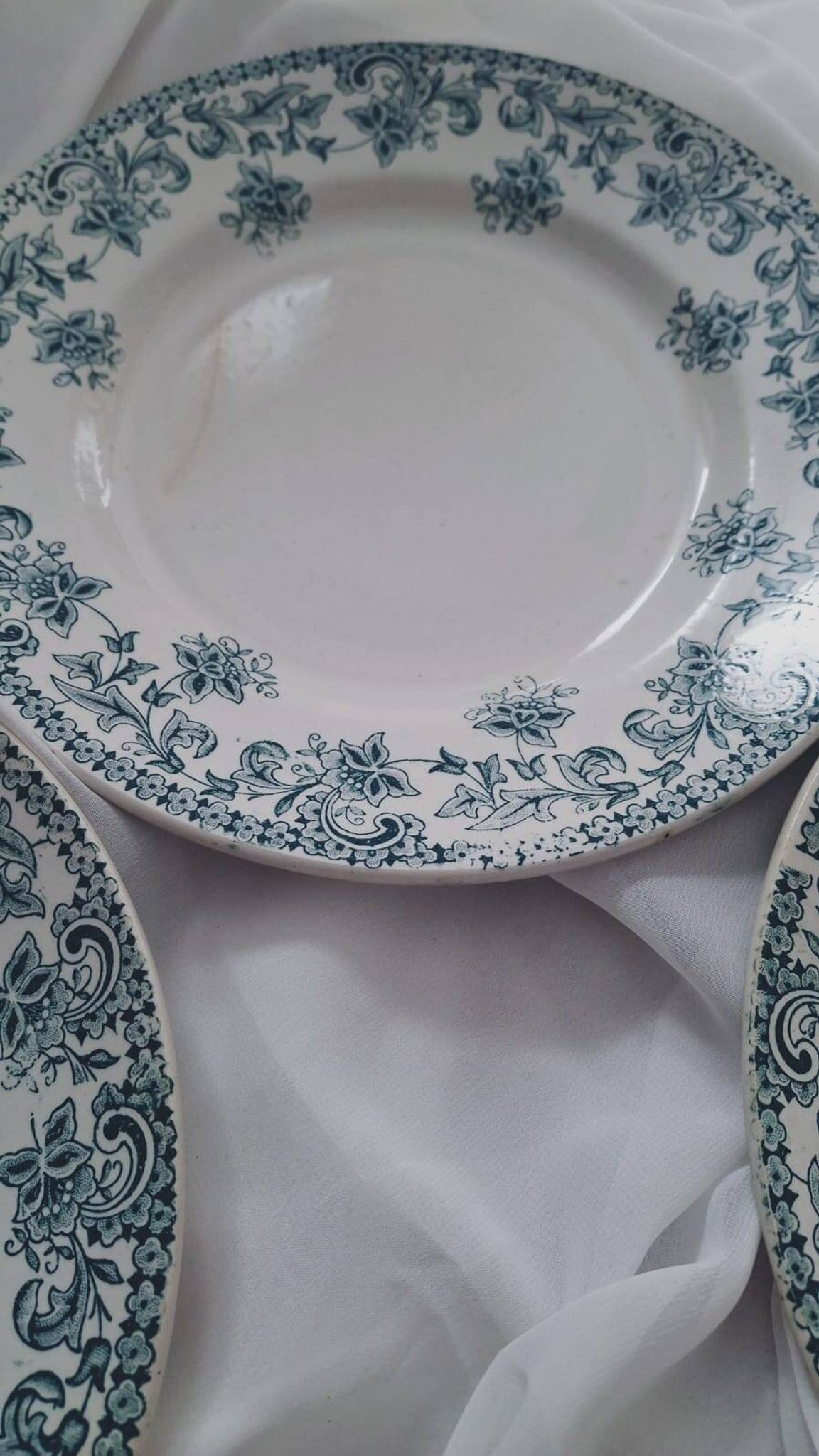 Set of 4 antique ironstone plates from Saint-Amand, "Jane" model.