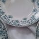Set of 4 antique ironstone plates from Saint-Amand, "Jane" model.