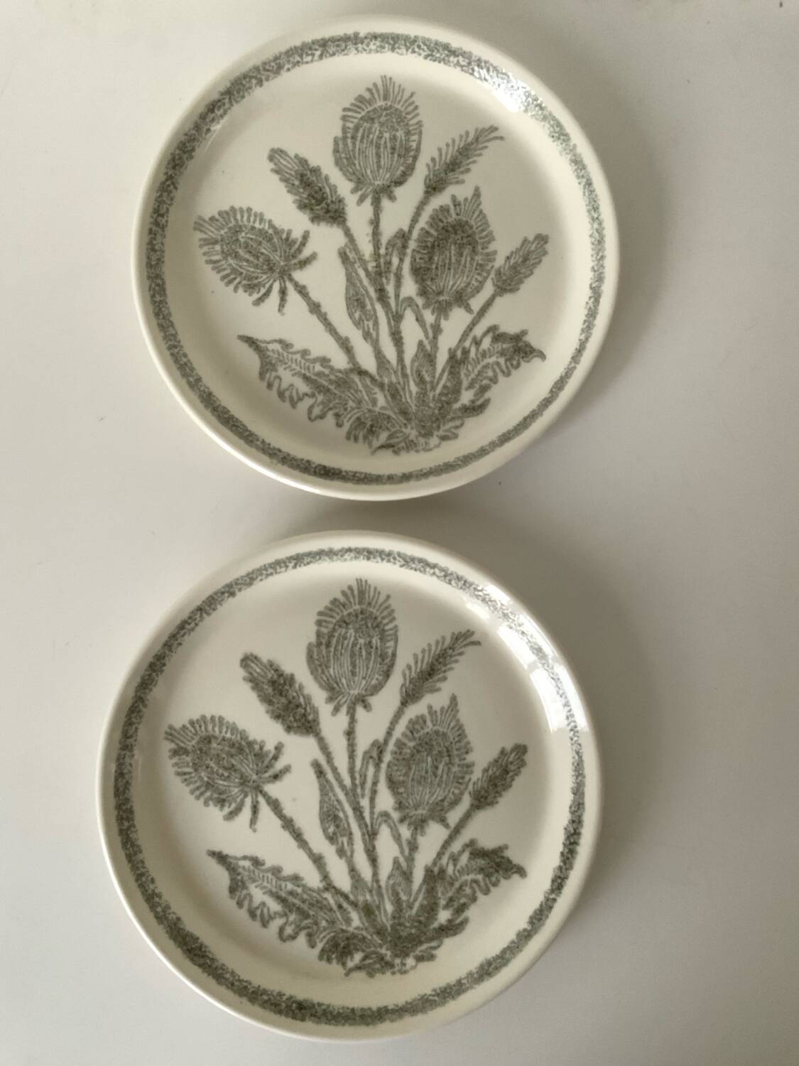 Duo of thistle plates