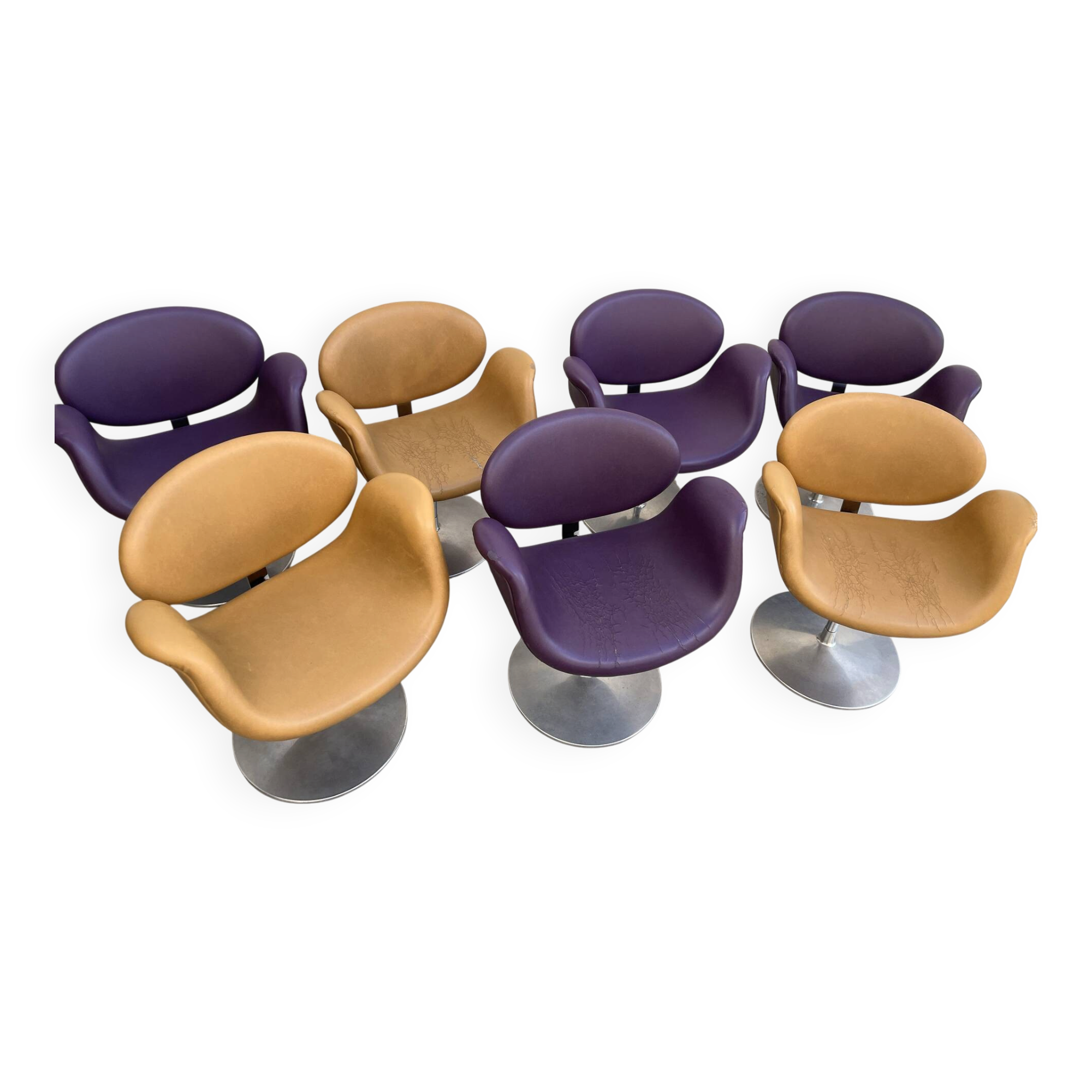 7 Tulip Chairs Paulin