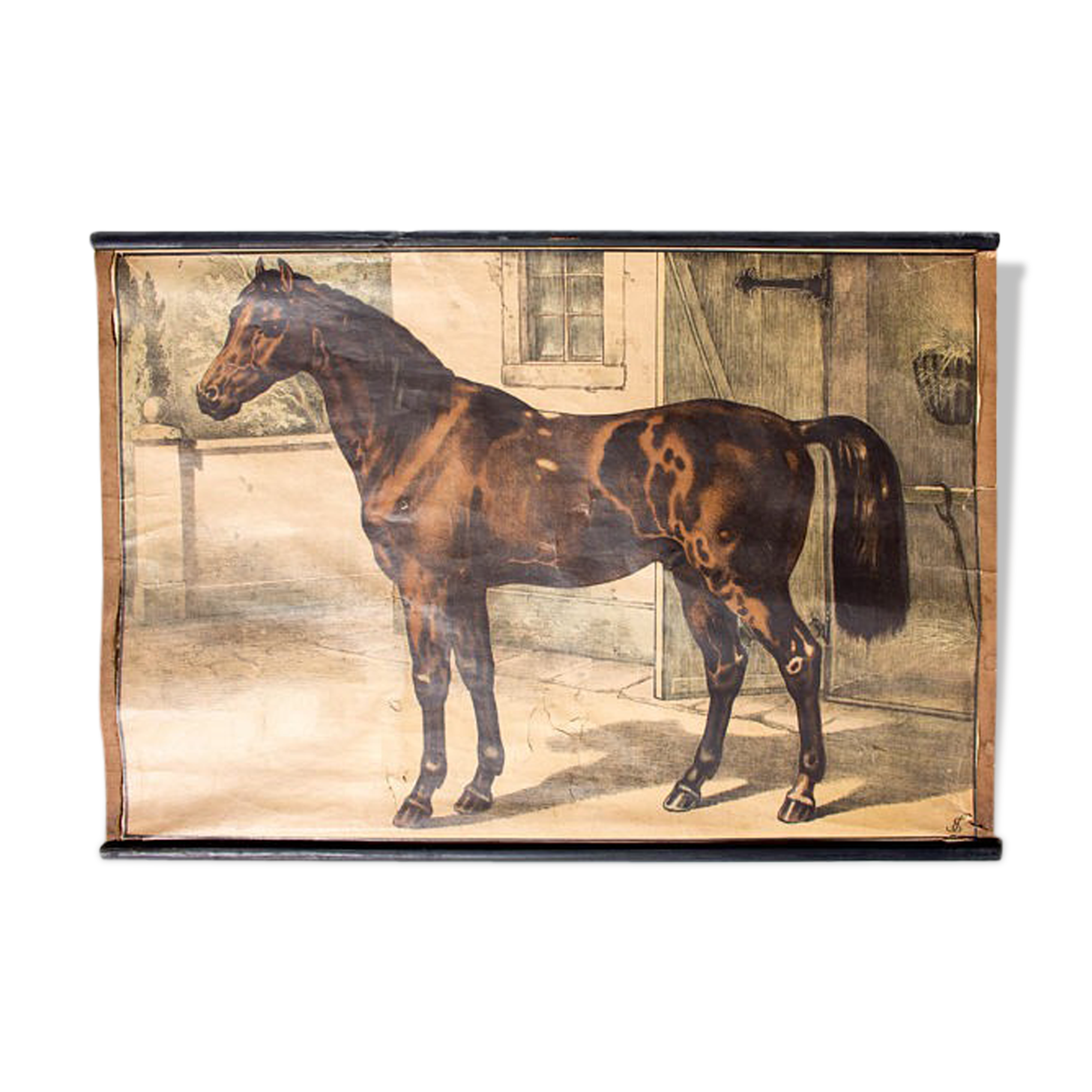 Poster "horse" lithograph Karl Jansky Böhmen 1897