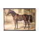 Poster "horse" lithograph Karl Jansky Böhmen 1897