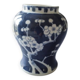 Vase chinois, en porcelaine, bleu, fleur de prunier