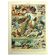 Old lithograph 1928 A. Millot - Birds 3, ornithology, birds