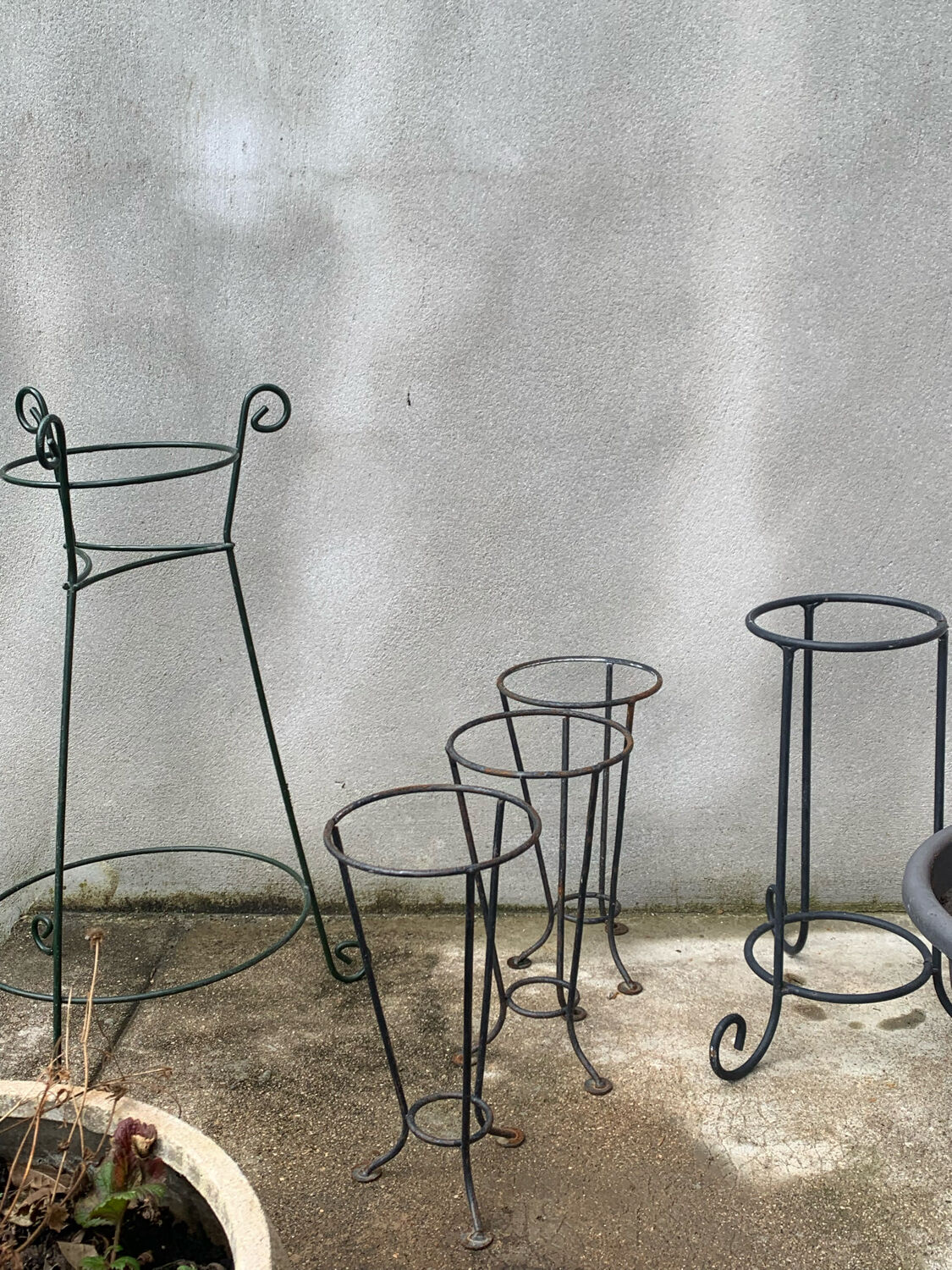 Wrought iron plant support/door