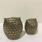 Brass owl duo
