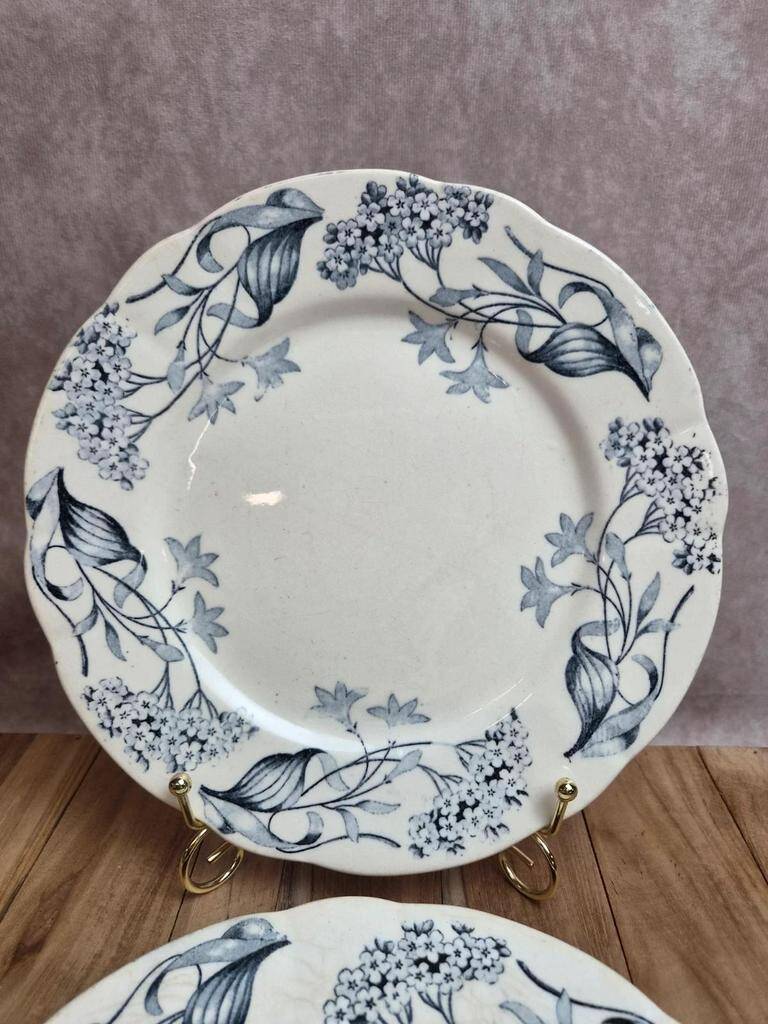 Set of 2 Longchamp ironstone plates model Lila Art Nouveau 22 cm