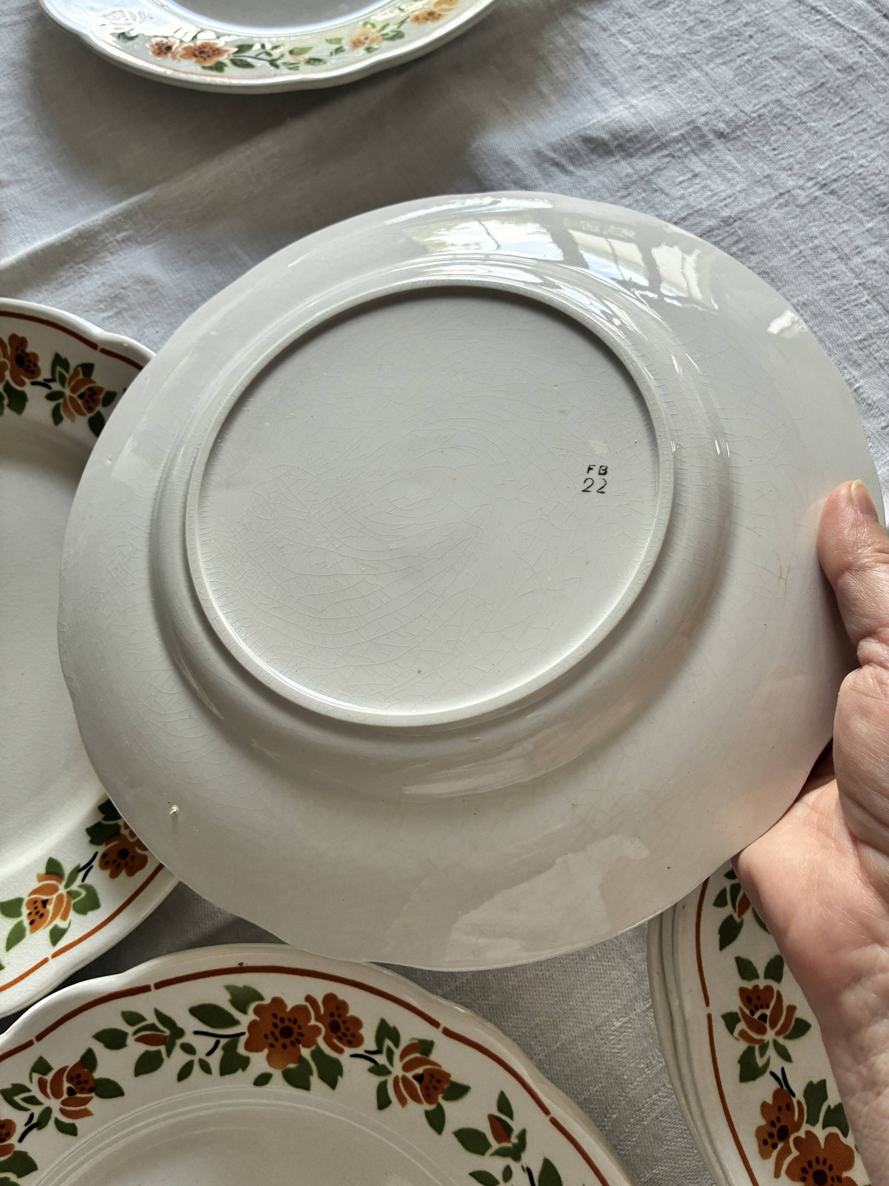 Lot 8 assiettes plates fleuries Badonviller