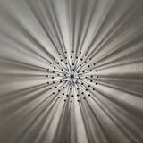 Applique, plafonnier Pistillo par Studio Tetrarch pour Valenti Luce