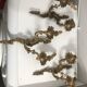 Antique bronze wall sconces
