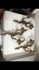Appliques murales bronze anciennes