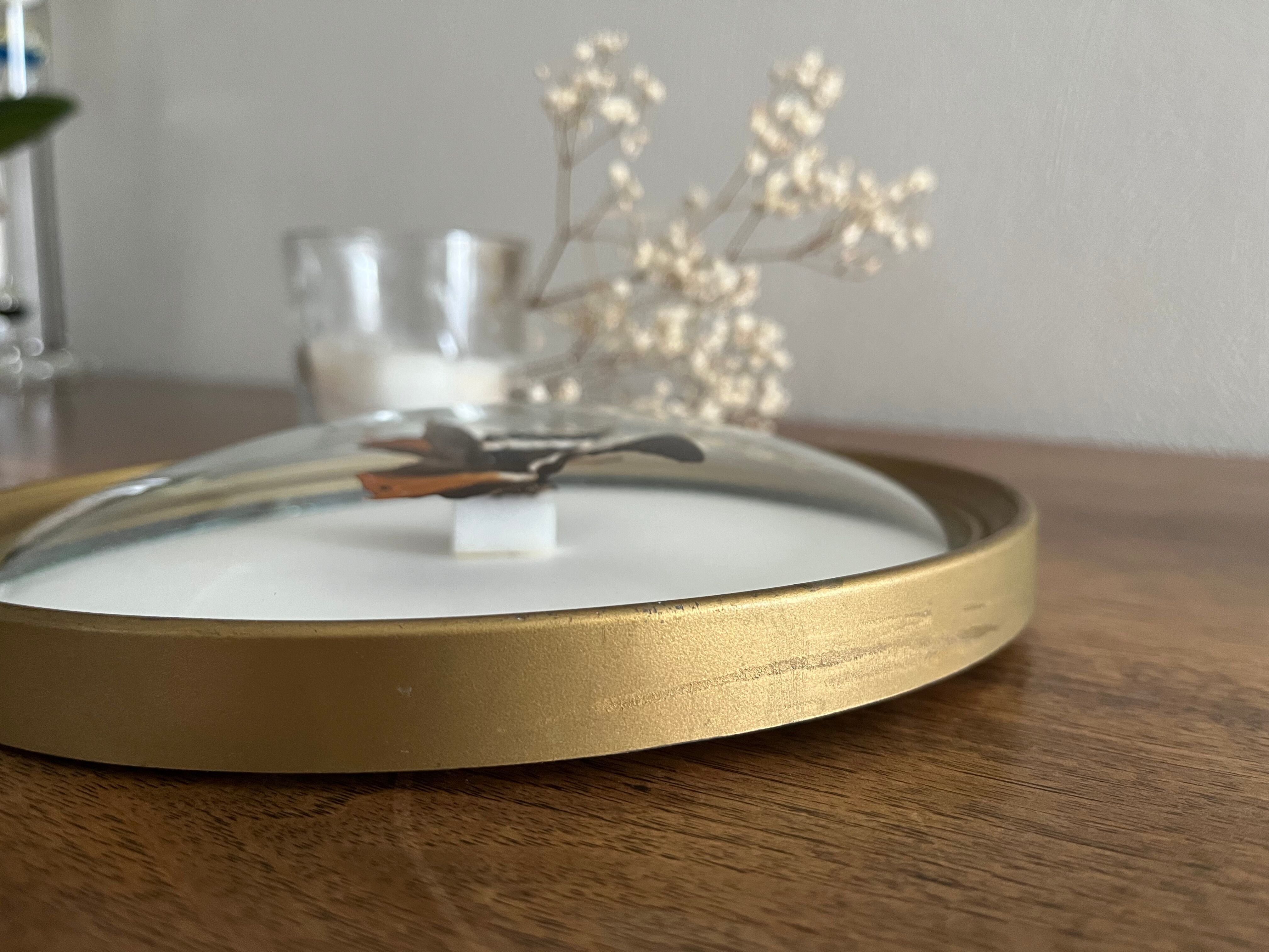 Butterfly frame naturalized curved glass