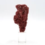 Red coral on resin base, 1970s
