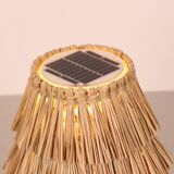 Solar desk lamp