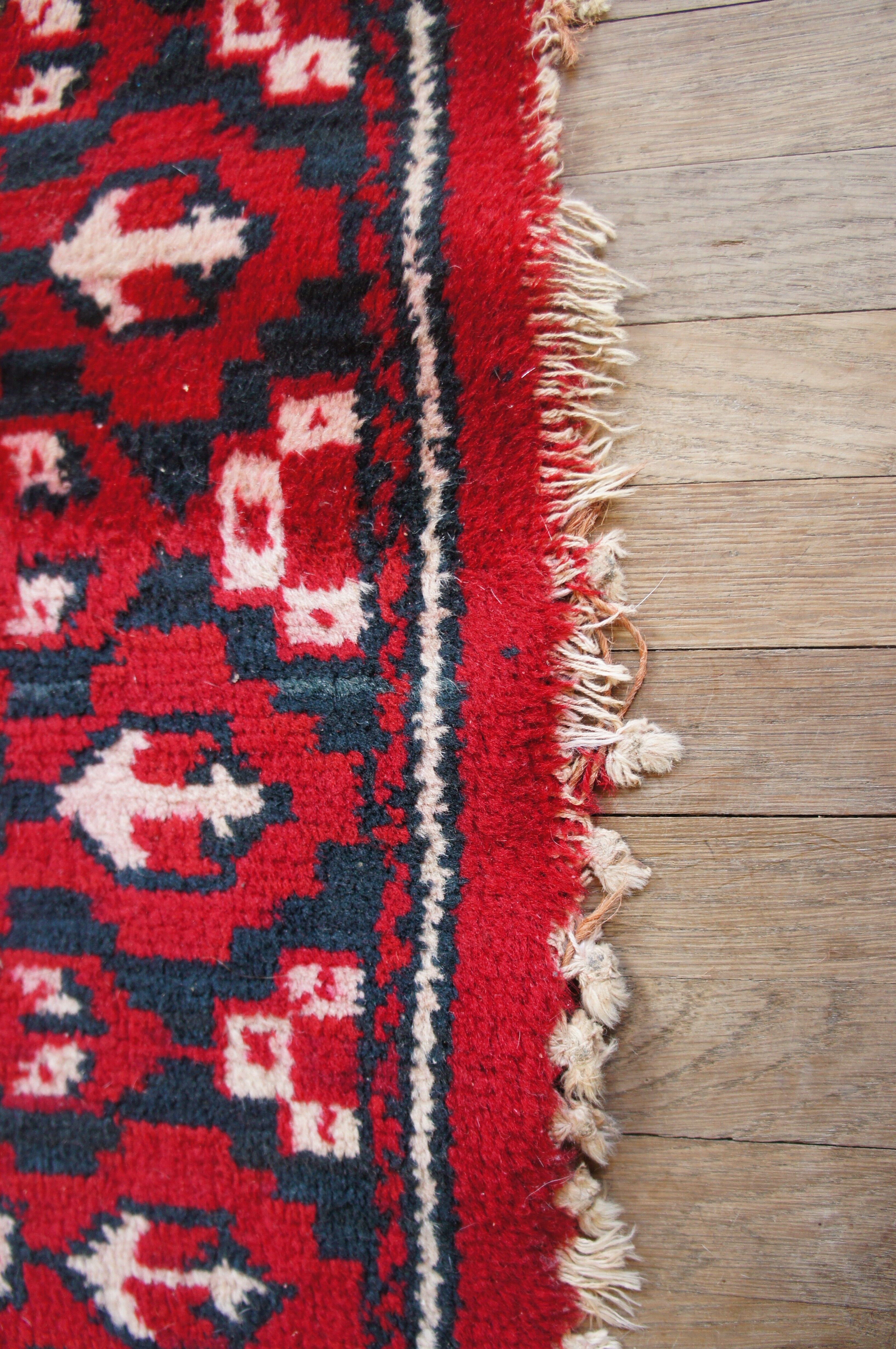 Pure velvet carpet combed wool 165 cm x 118 cm