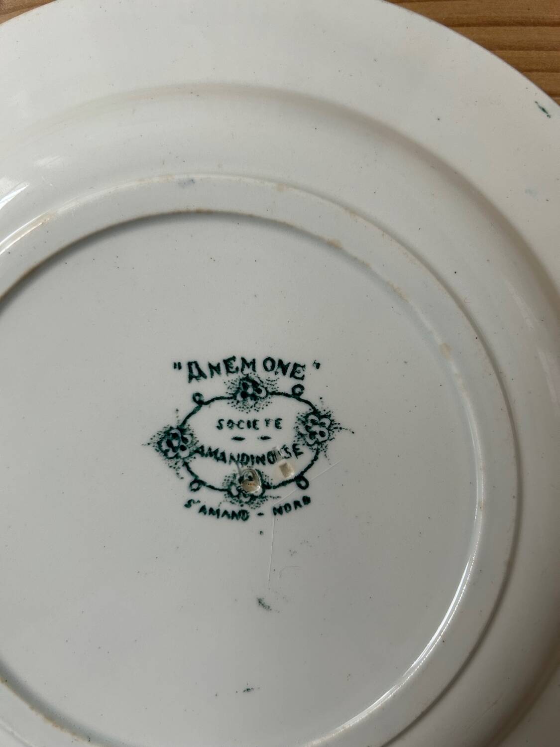 Set of 6 mismatched antique dinner plates