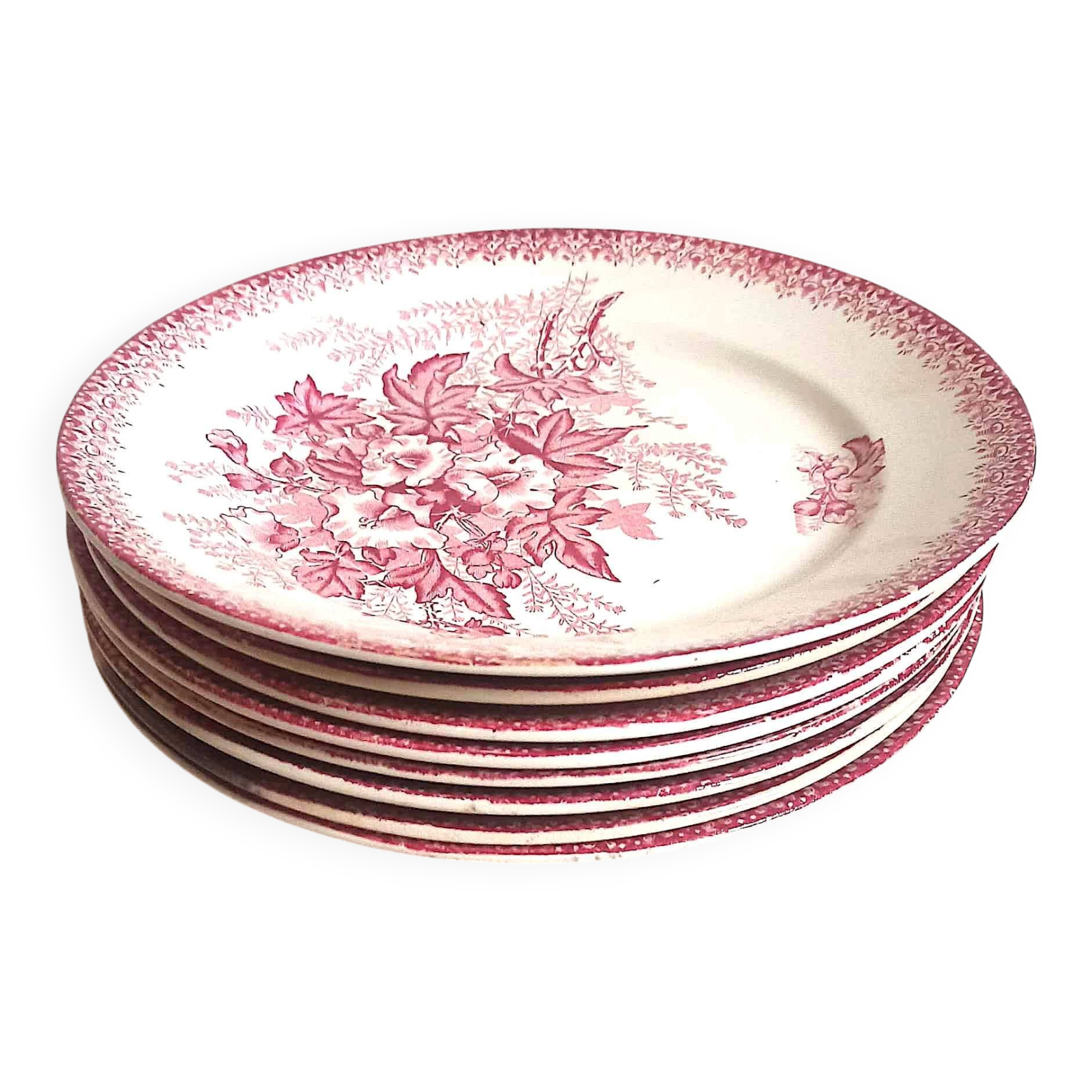 Set of 8 Terre de Fer plates with Eglantines motif, Diameter 22.5 cm