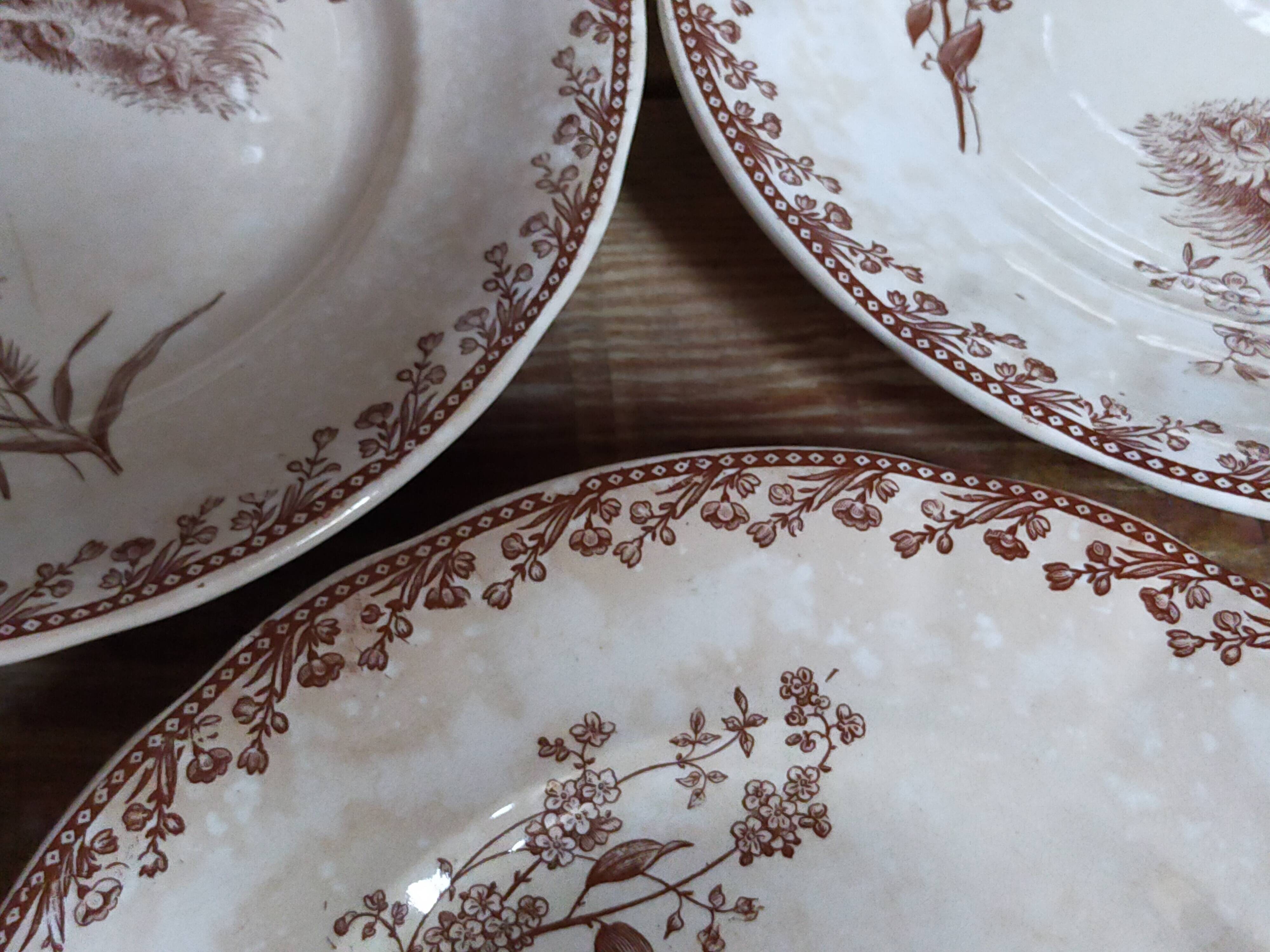 Seven iron earth dessert plates with birds ffPexonne late 19th century