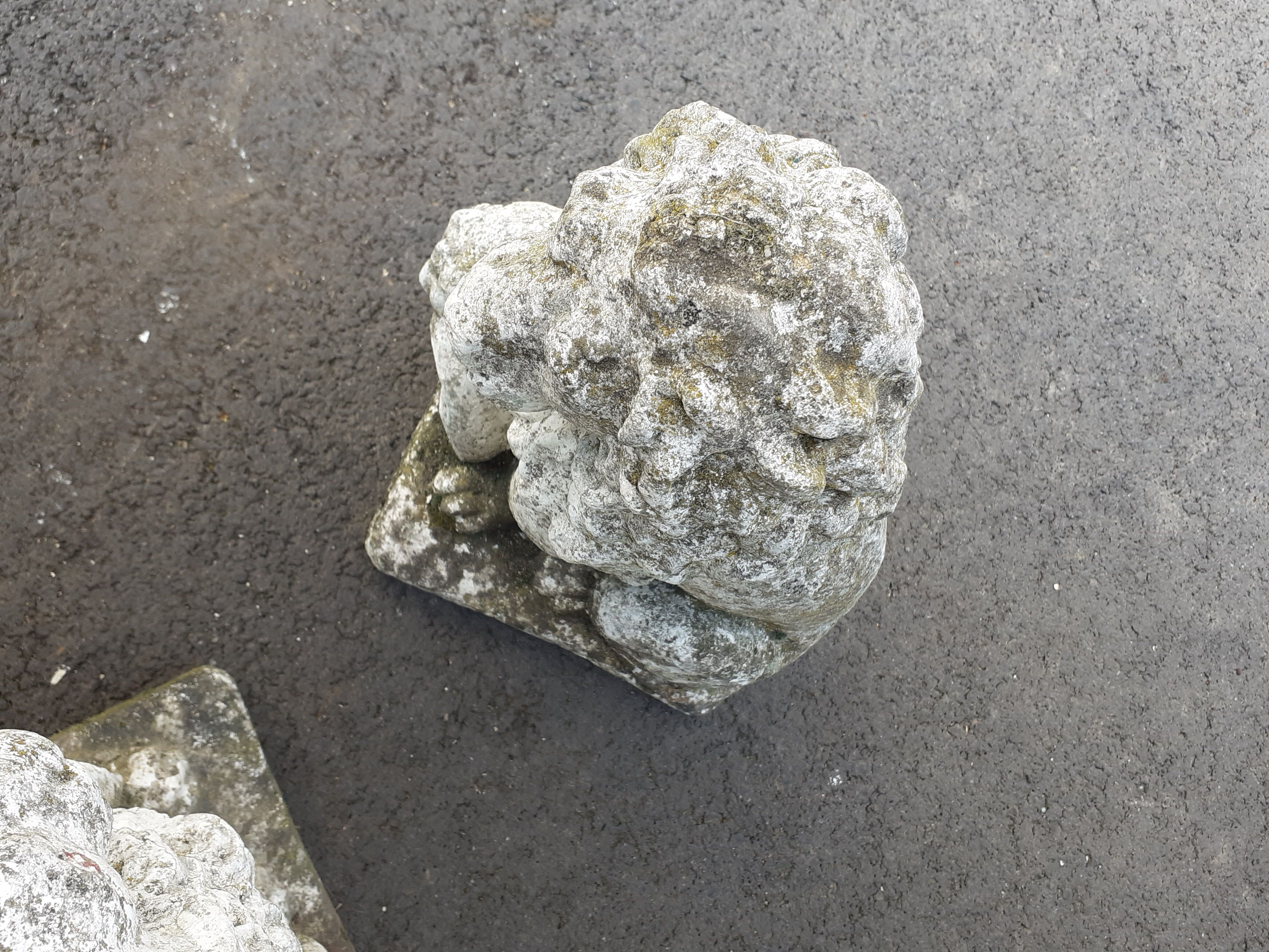 Vintage stone garden lions xxeme