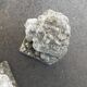 Vintage stone garden lions xxeme