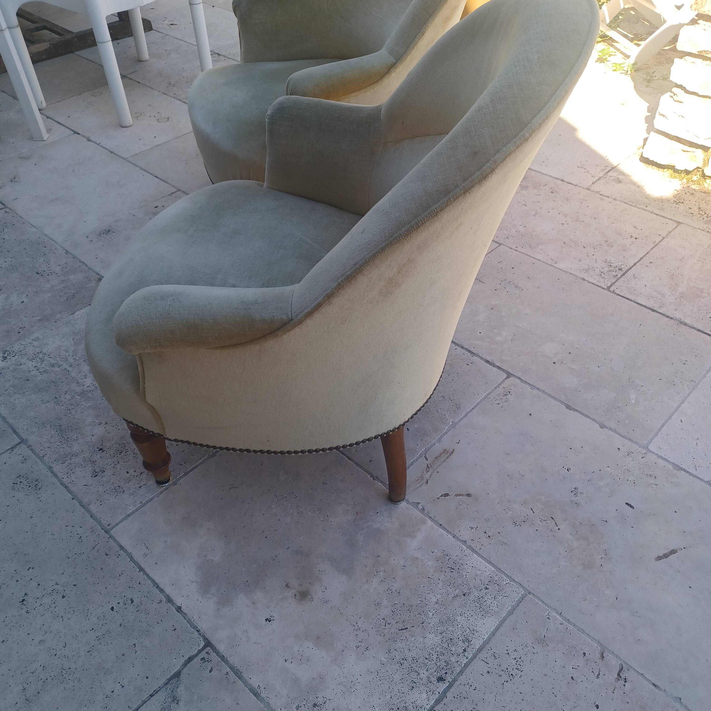 Frog armchairs