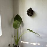 Bété Nyabwa mask Ivory Coast