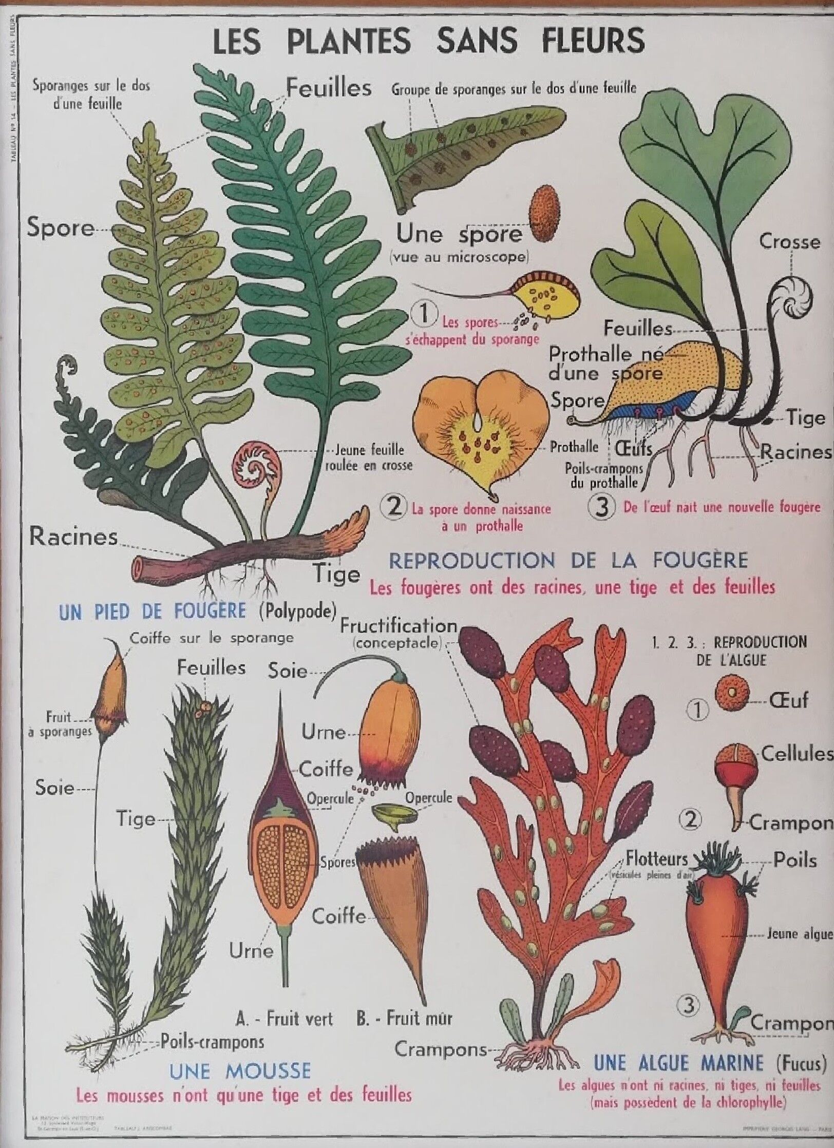 Old mdi school poster