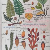 Old mdi school poster