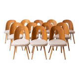 Set of 10 MidCentury Dining Chairs by A.Šuman, Customizable Upholstery Available