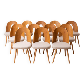Ensemble de 10 chaises de salle à manger MidCentury par A.Šuman, rembourrage personnalisable disponible