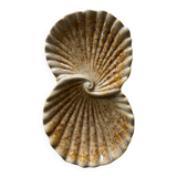 Ceramic shell-shaped trinket tray