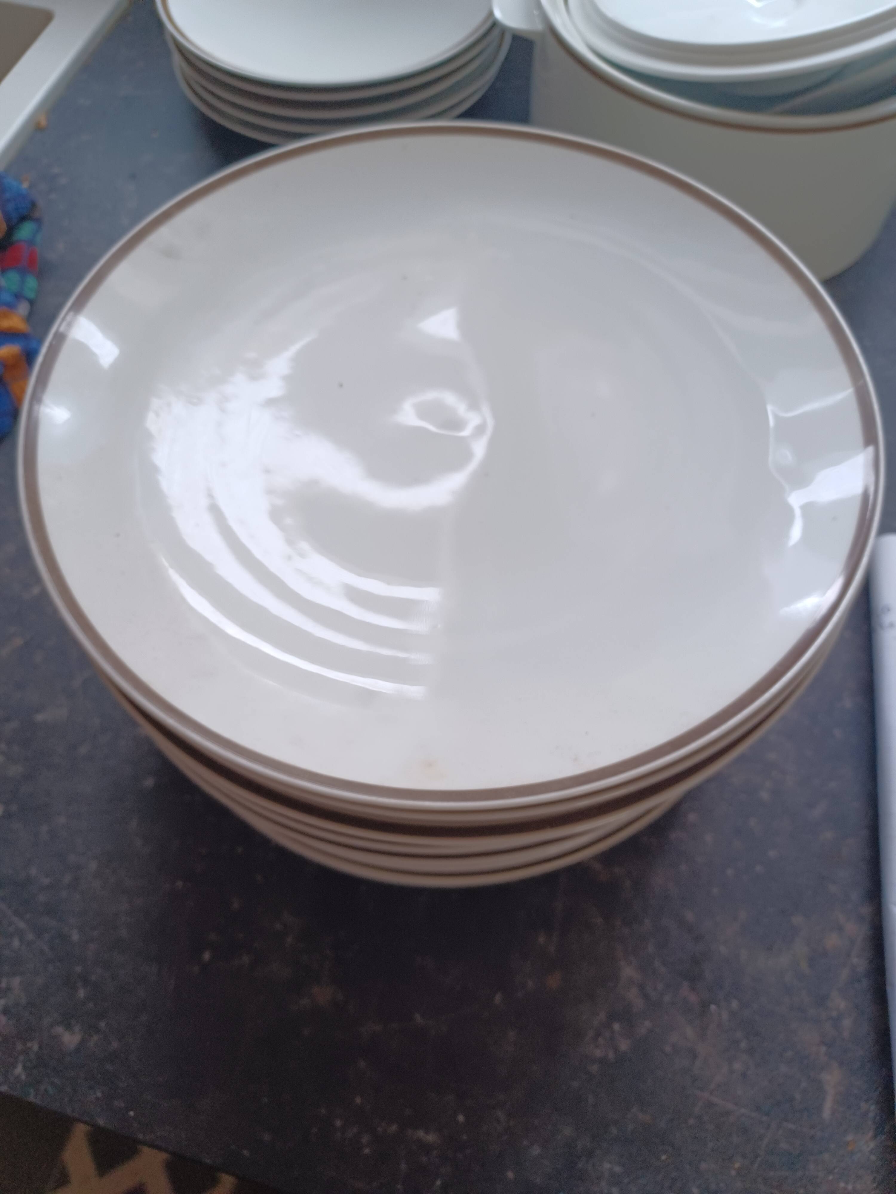 13 assiettes Thomas Germany