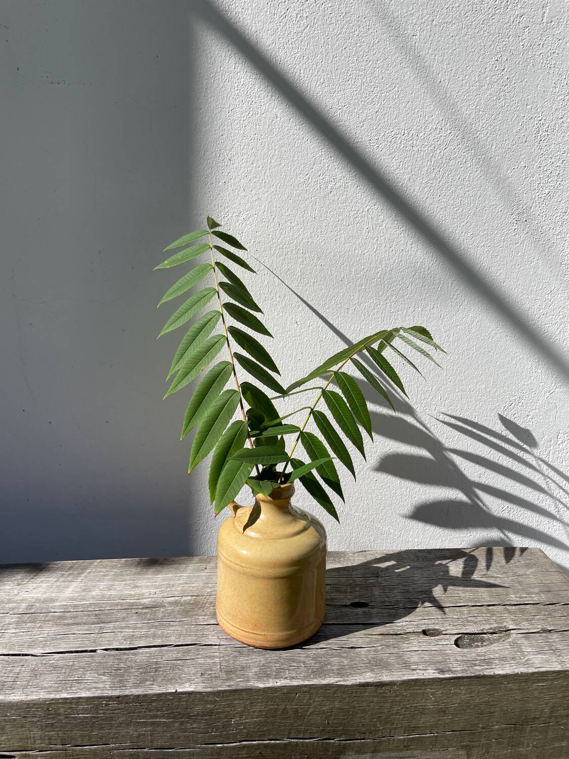 Antique glazed terracotta jug vase