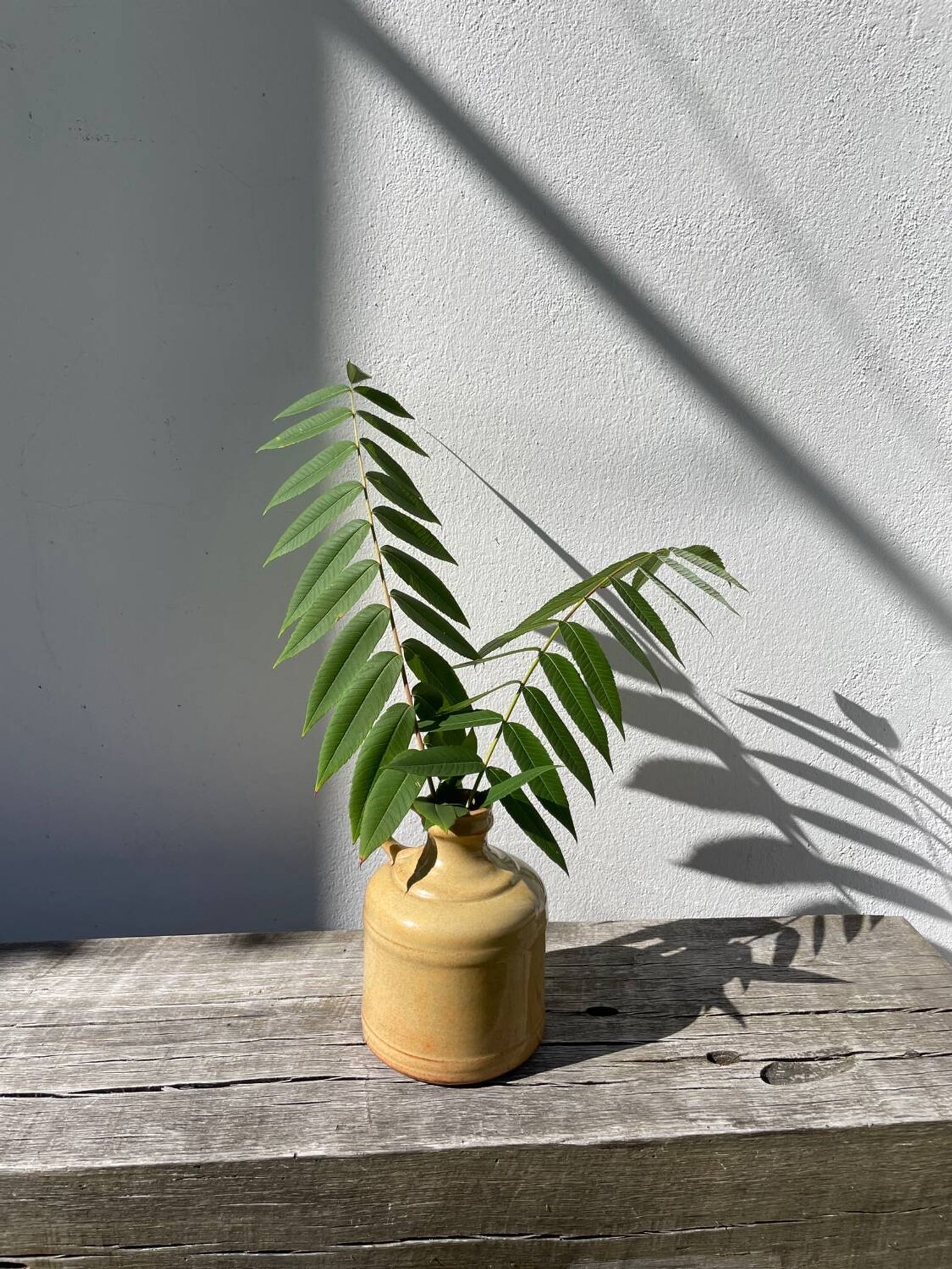 Antique glazed terracotta jug vase