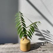 Antique glazed terracotta jug vase