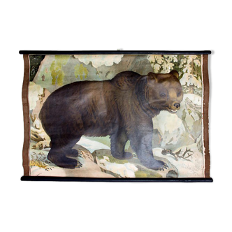 Poster "Bear" educational rack 1891