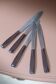 Set of 12 knives in "Clarisse" case