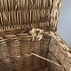 Old rattan trunk