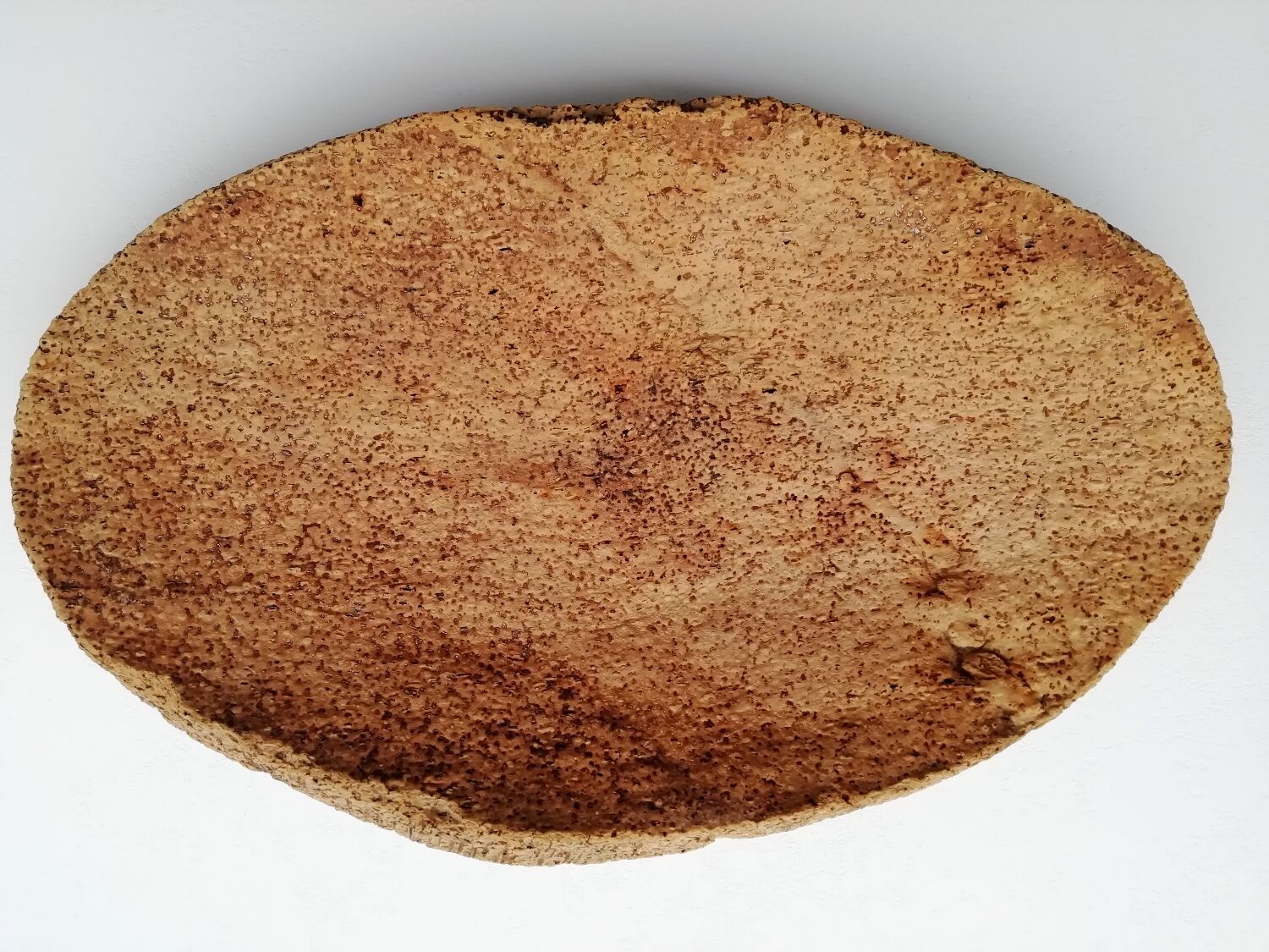 Raw cork bark tray