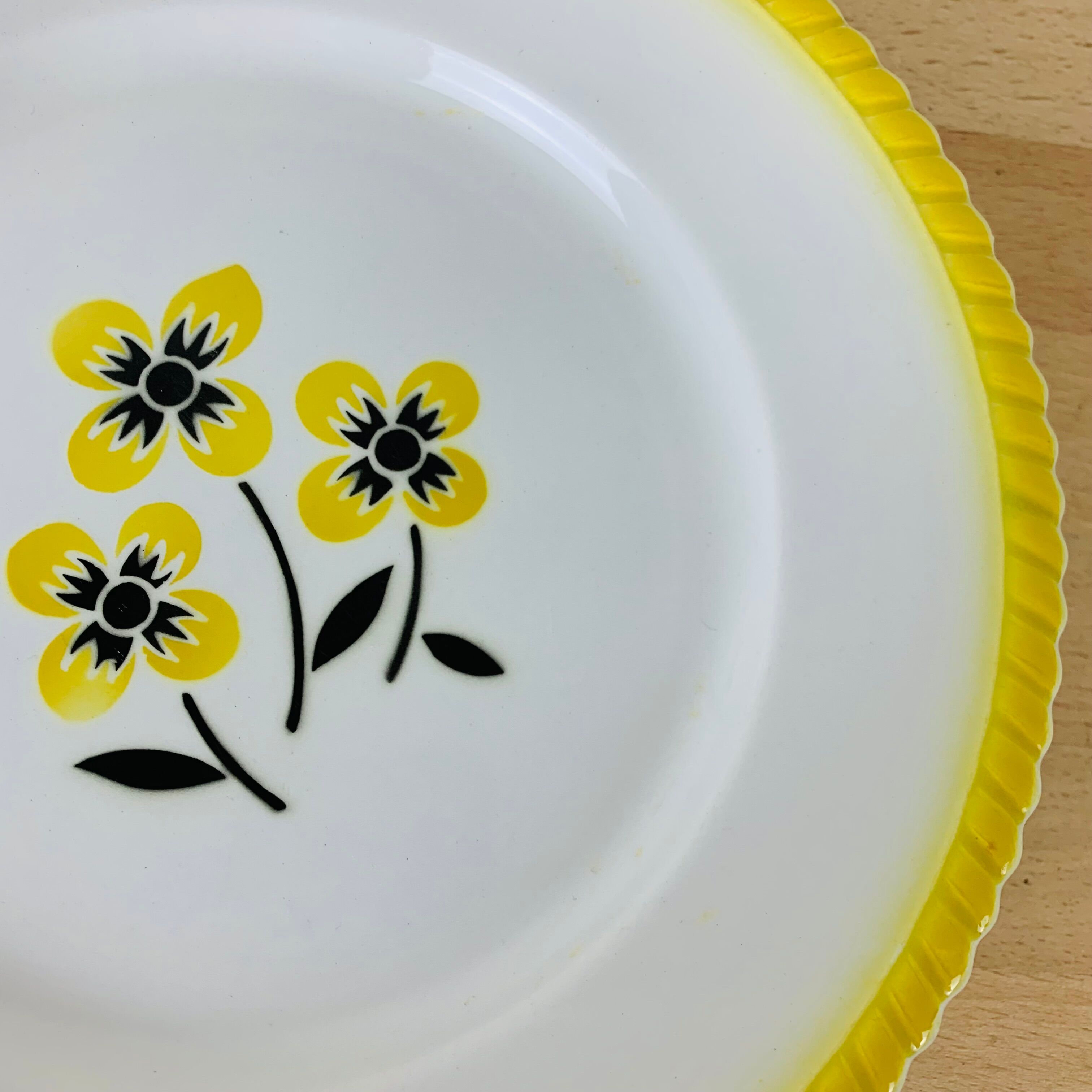 Set of 6 flat plates vintage earthenware