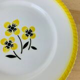 Set of 6 flat plates vintage earthenware