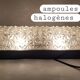 Erco Glass and Bakelite Wall Sconces 1960s, Set of 2 Vintage