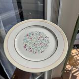 Set of 6 Porcelain Dinner Plates