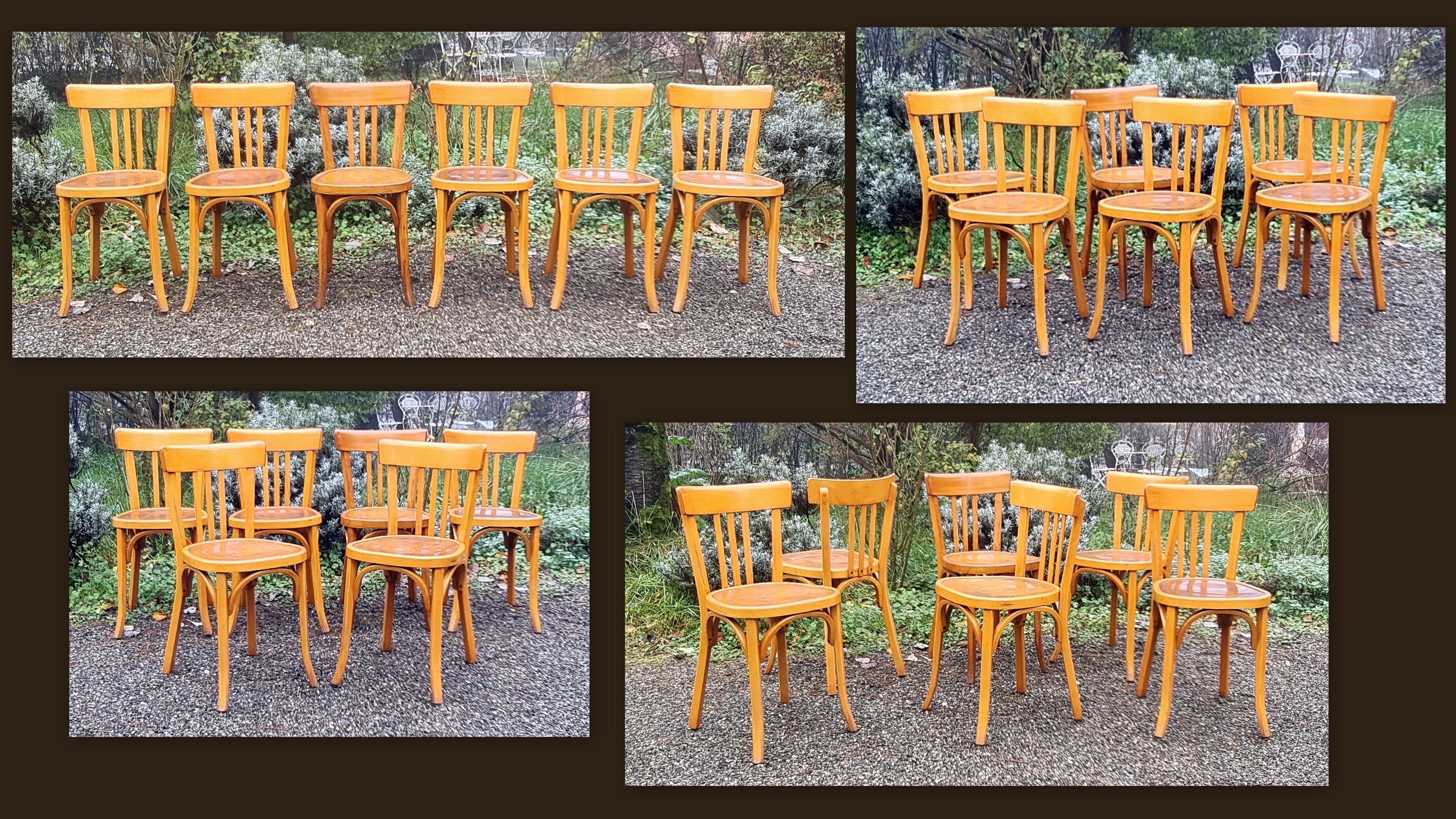 6 Baumann chairs n°43 50s
