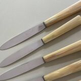 Set of 12 antique knives in green case